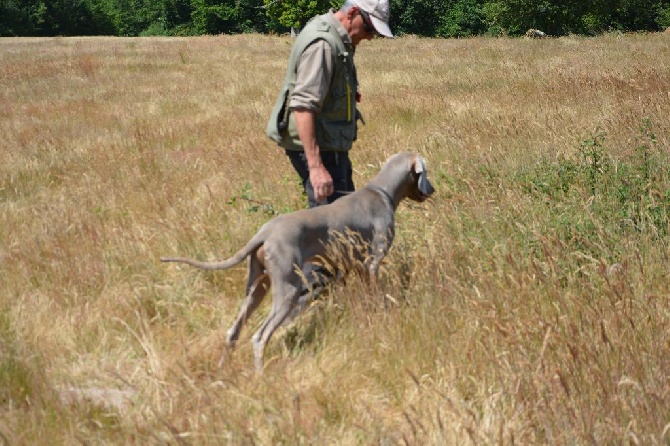 du bois de la haie heudier - Monteils 4ème Excellent en Field