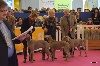  - Salon de l'agriculture 2014