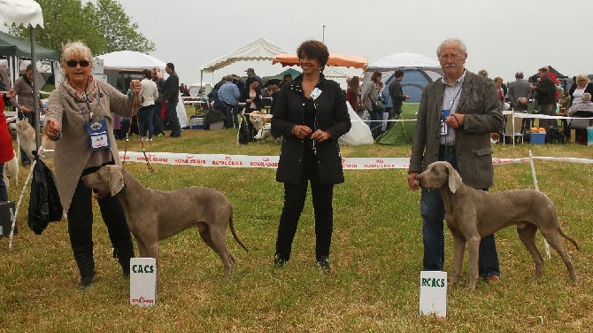 du bois de la haie heudier - Bailleul sur Thérain RCACS 2016